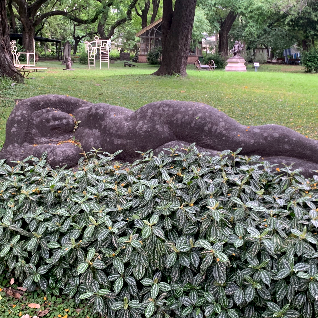 Moverse como plantas